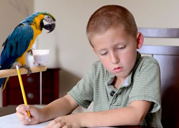 Khi nào thì bạn bắt đầu “HỌC” cho chính mình?