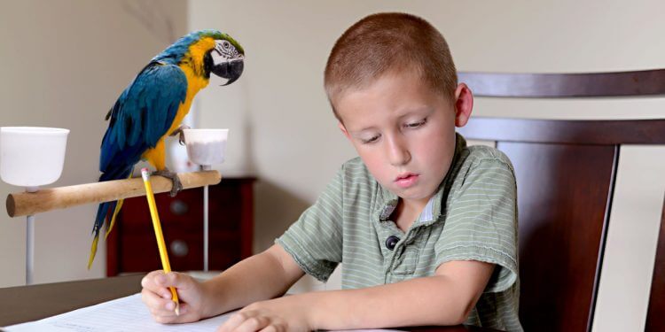 Khi nào thì bạn bắt đầu “HỌC” cho chính mình?