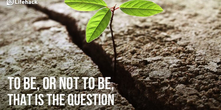 31 CÂU HỎI LÀM THAY ĐỔI CUỘC ĐỜI BẠN