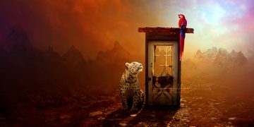 CHỌN LỰA GIỮA LÝ TRÍ VÀ CON TIM – CHICKEN OR EGG