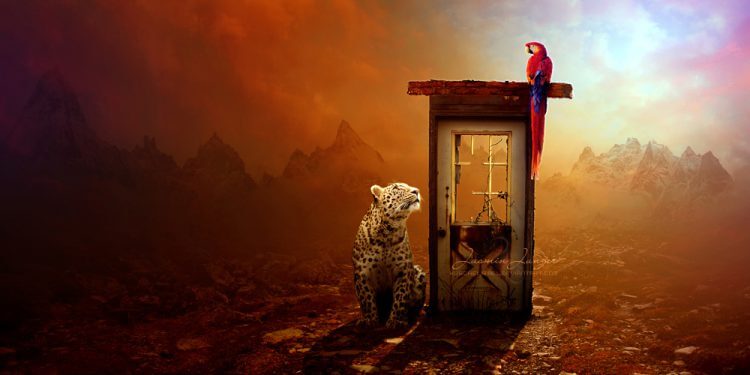 CHỌN LỰA GIỮA LÝ TRÍ VÀ CON TIM – CHICKEN OR EGG