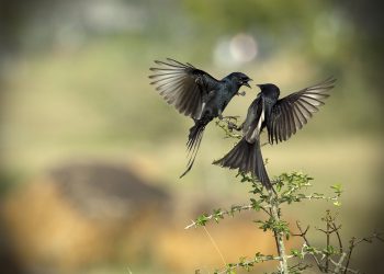 29 CÁCH ĐỂ HẠNH PHÚC HƠN ĐÃ ĐƯỢC KHOA HỌC KIỂM CHỨNG