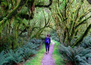 BƯỚC RA KHỎI VÙNG AN TOÀN VỚI 3 THÓI QUEN HỮU ÍCH