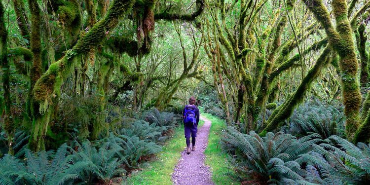 BƯỚC RA KHỎI VÙNG AN TOÀN VỚI 3 THÓI QUEN HỮU ÍCH