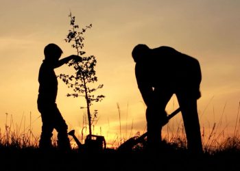 THÀNH CÔNG – THỰC SỰ LÀ GÌ?