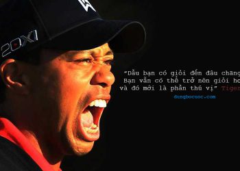 NHỮNG NGUYÊN TẮC CỦA TIGER WOODS ĐỂ THÀNH CÔNG LỚN