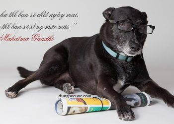 ĐỪNG LÀM VIỆC CHĂM HƠN, HÃY LÀM VIỆC THÔNG MINH HƠN VỚI 12 MẸO NHỎ SAU