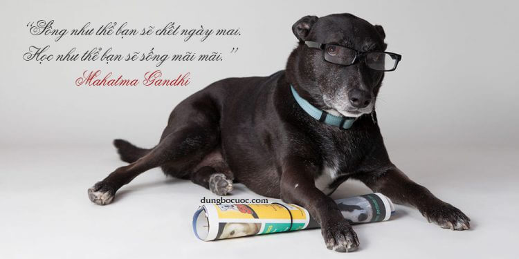 ĐỪNG LÀM VIỆC CHĂM HƠN, HÃY LÀM VIỆC THÔNG MINH HƠN VỚI 12 MẸO NHỎ SAU