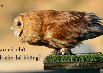 ĐAM MÊ CẦN GÌ PHẢI KIẾM!