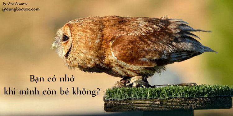 ĐAM MÊ CẦN GÌ PHẢI KIẾM!